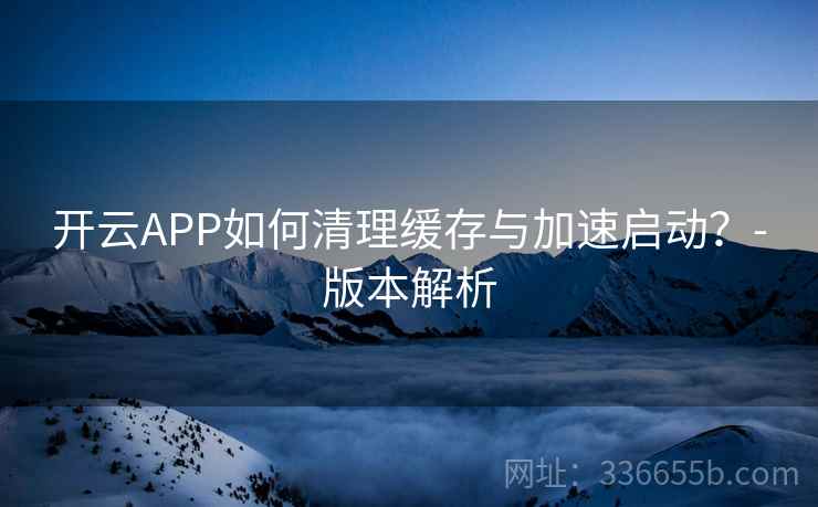 开云APP如何清理缓存与加速启动？-版本解析