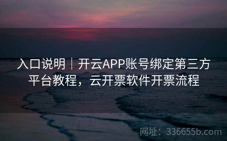 入口说明｜开云APP账号绑定第三方平台教程，云开票软件开票流程