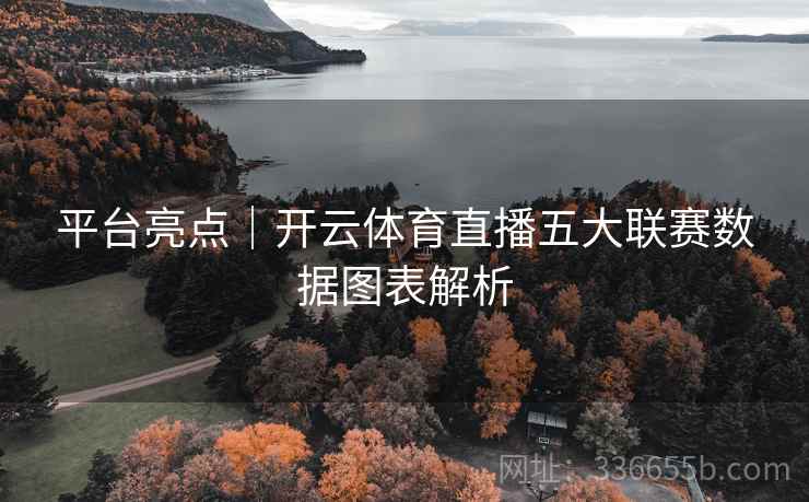 平台亮点｜开云体育直播五大联赛数据图表解析
