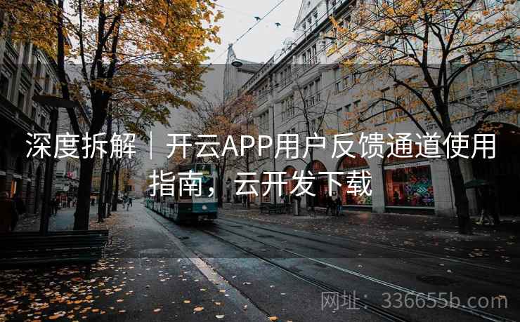 深度拆解｜开云APP用户反馈通道使用指南，云开发下载