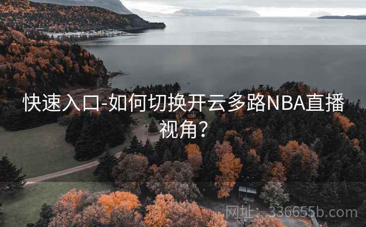 快速入口-如何切换开云多路NBA直播视角？