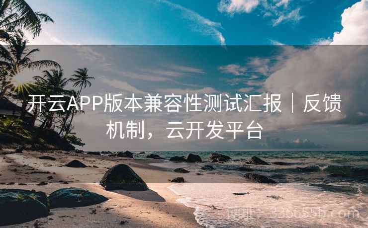 开云APP版本兼容性测试汇报｜反馈机制，云开发平台