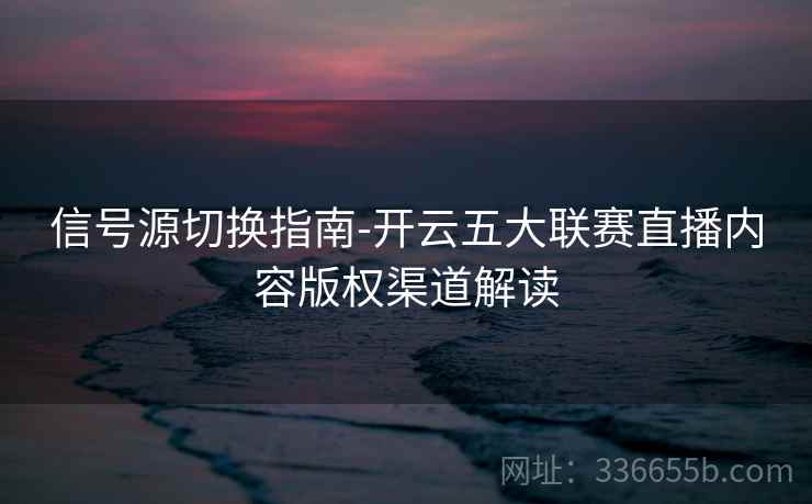 信号源切换指南-开云五大联赛直播内容版权渠道解读  第2张